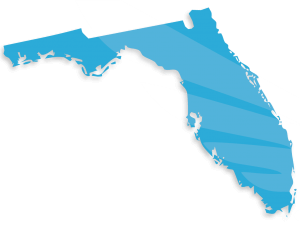Blue Raven Solar Logo Florida
