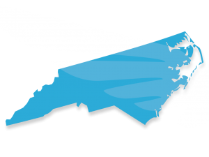 Blue Raven Solar Logo North Carolina