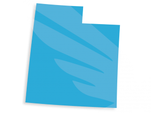 Blue Raven Solar Logo Utah