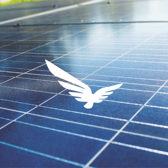 Blue Raven Solar Logo on top of closeup of solar panel