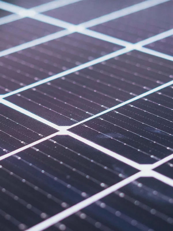 Up close view of solar cells on a solar panel