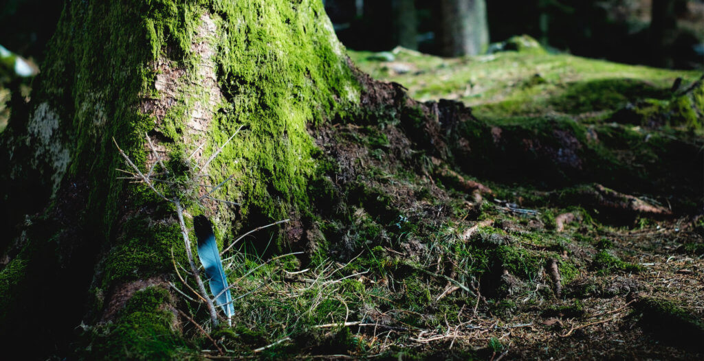 Blue feather with black tip, resting against a large tree trunk covered in moss