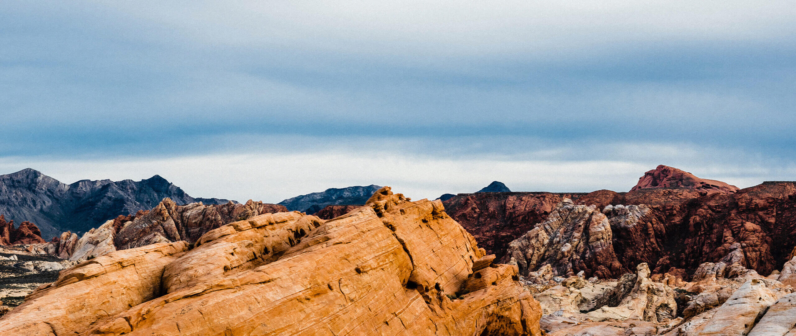 Solar Panel Cost Reno, NV Blue Raven Solar