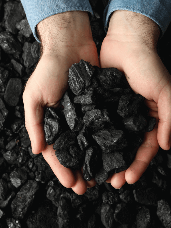 Small pieces of coal, some being held by two hands