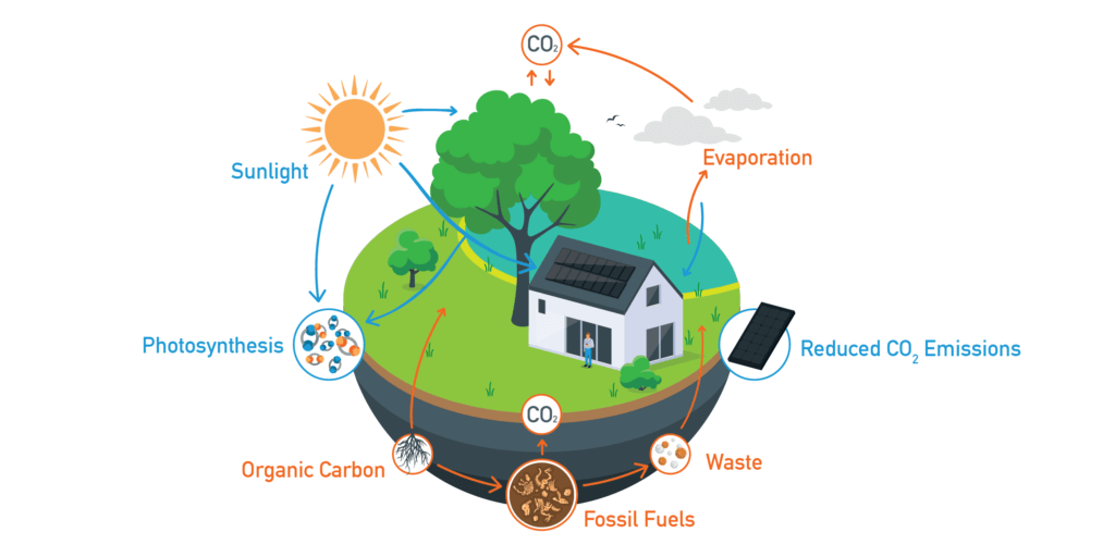 Understanding carbon recycling and where renewable energy fits in graphic including arrows and a diagram in bright, cool tones