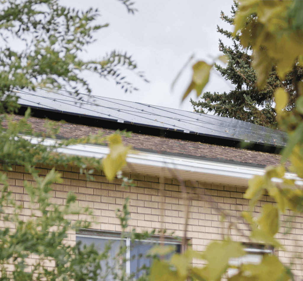 Tier-1, monocrystalline solar panels installed on roof of single-level house surrounded in green foliage