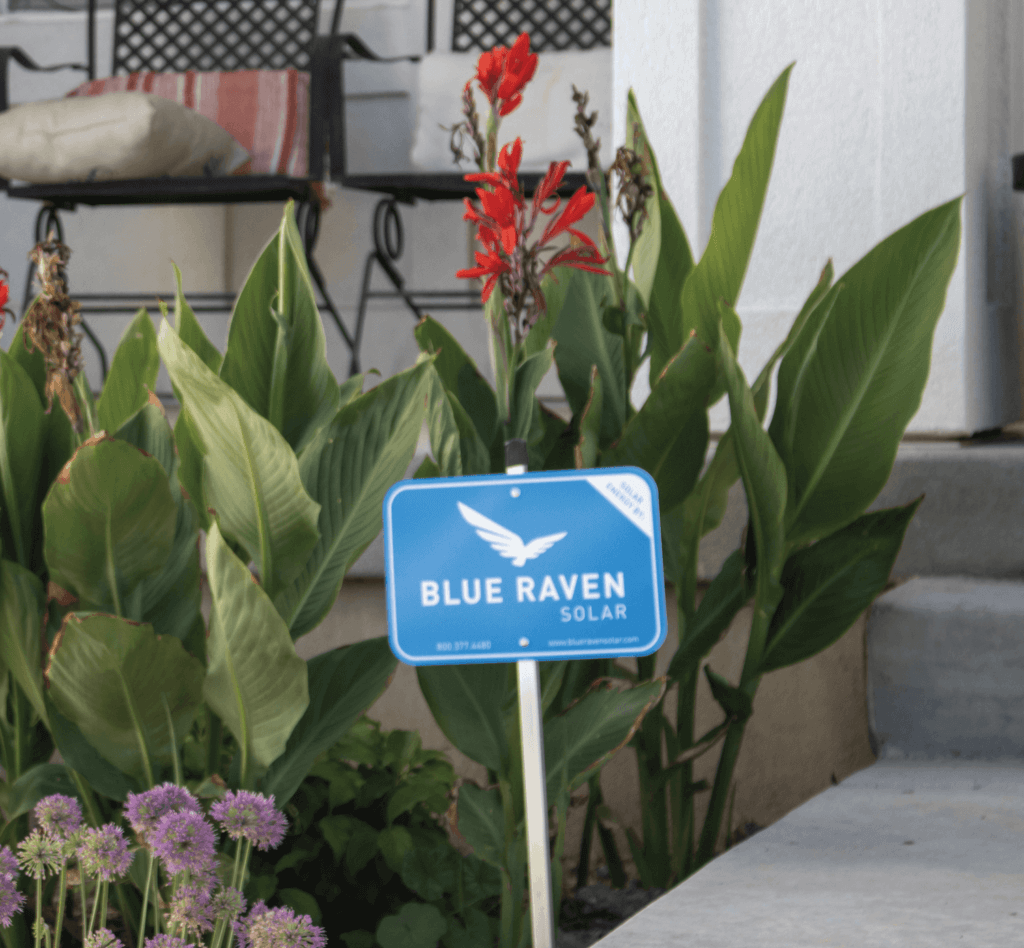 A Blue Raven Solar yard sign installed with vibrant flowers and foliage in the background