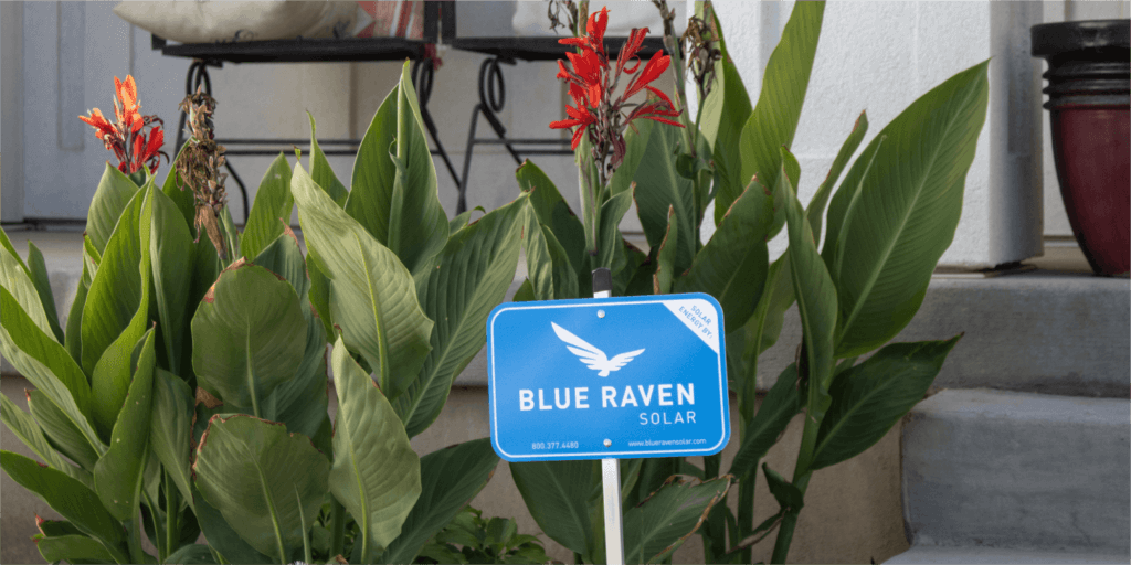 Blue Raven Solar yard sign with lush green plants and bright orange-red flowers in the background